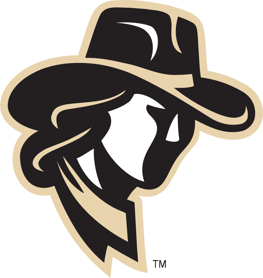 Wyoming Cowboys 2000-2007 Secondary Logo diy iron on heat transfer